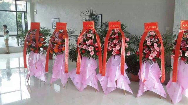 粉色视频免费APP装饰开业大吉.jpg