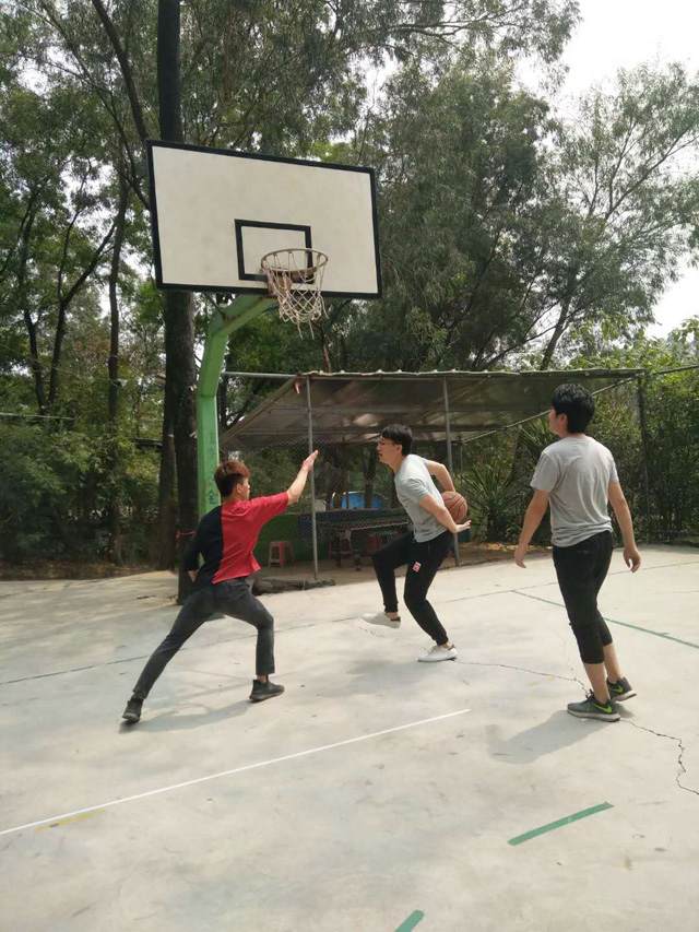 广州粉色视频WWW在线观看设计公司大夫山活动.jpg