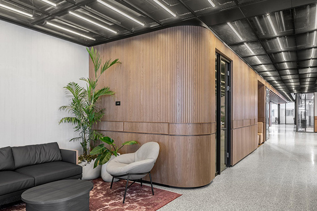 办公室粉色视频WWW在线观看