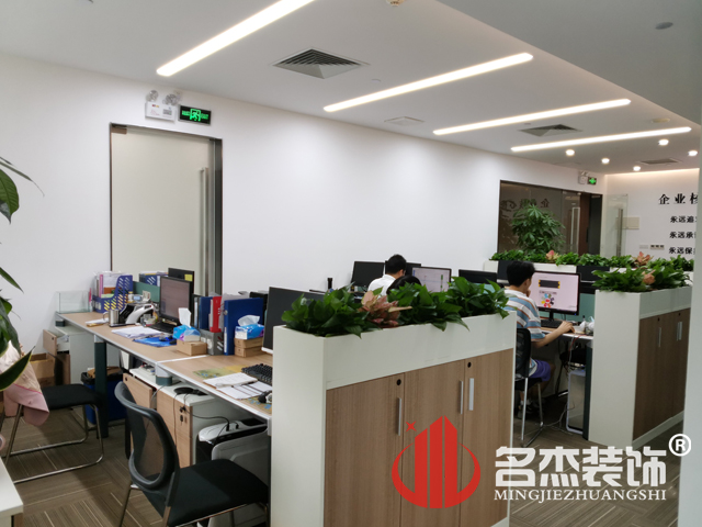 办公室粉色视频WWW在线观看