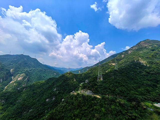 粉色视频免费APP装饰游记