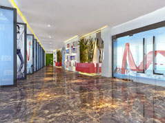 浙江奥康鞋业股份有限公司-粉色视频免费APP经典案例